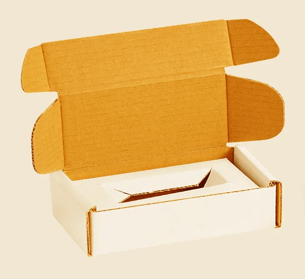 Cardboard Mailer Box with Insert