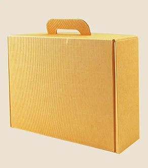 Cardboard Suitcase Box with Handle