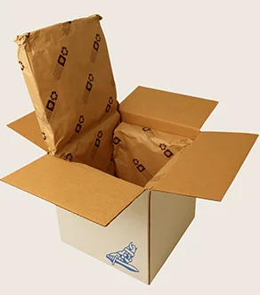 Cold Chain Box Packaging