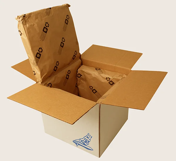 Cold Chain Packaging Box