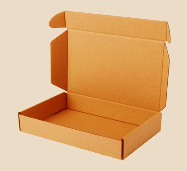 Corrugated Cardboard Self-Locking Mailer Box