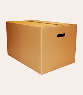 Corrugated Cardboard Box with Side Handles