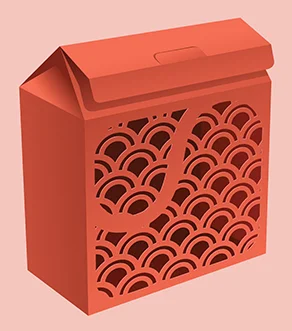 Die-Cut Box