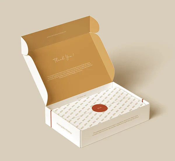 E-commerce Shipping Box