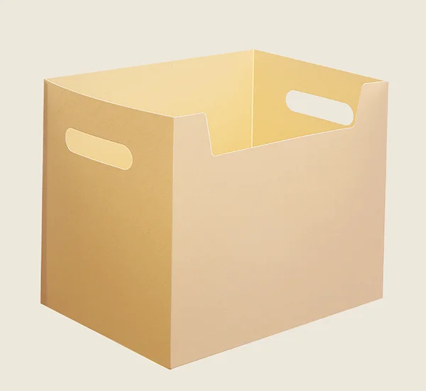 File Storage Carrier Box