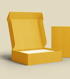 Kraft Mailer Box