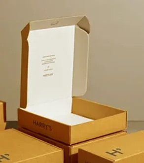 Mailer Box Packaging