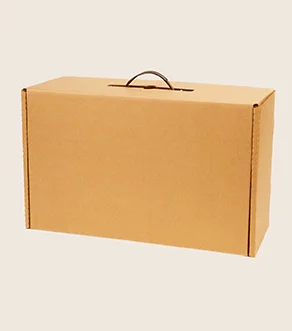 Postal Shipping Carrying Handle Box