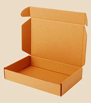 Self-Locking Mailer Box